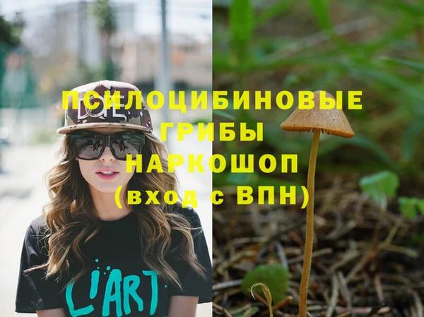 скорость Балахна